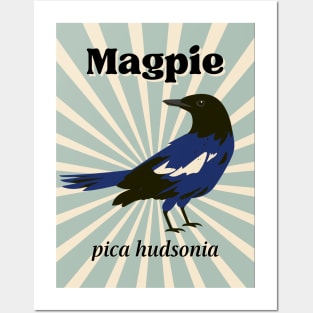 Magpie Retro Art Bird Design with Scientific Name Posters and Art